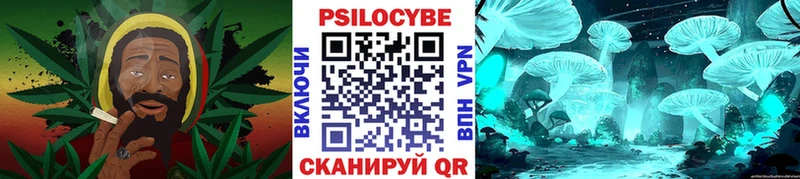 Псилоцибиновые грибы Cubensis  darknet как зайти  Ахтубинск 